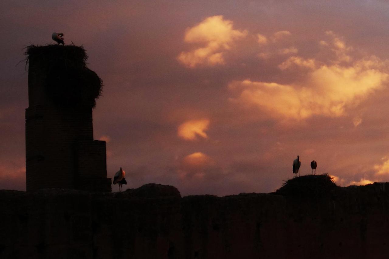 Riad Of The Storks - Exclusive Use For Up To 17 Persons Марракеш Экстерьер фото